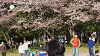 hana26 (280)_thumb.png
